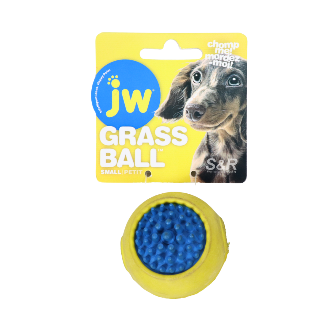 JW Small Petit Grass Ball (Assorted Colors)